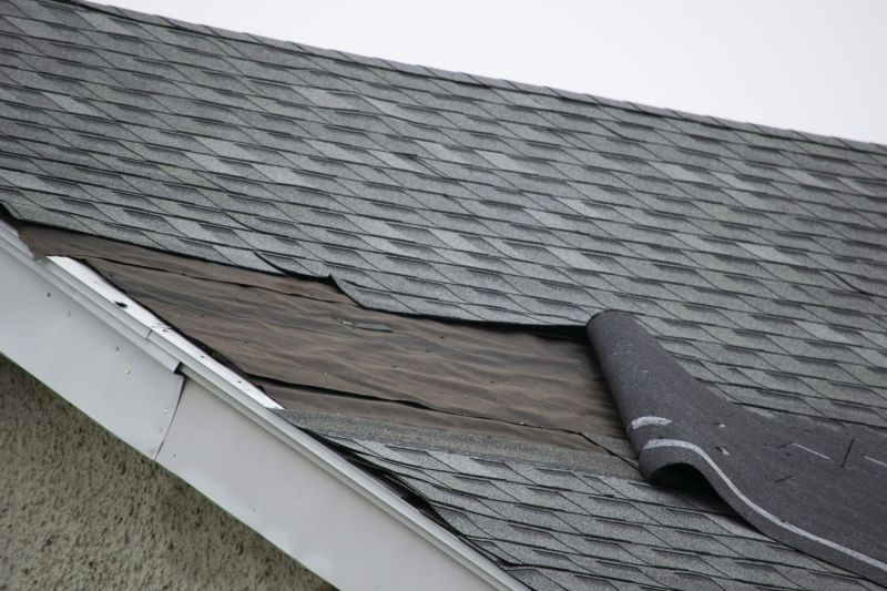 Roof Repair Consultation